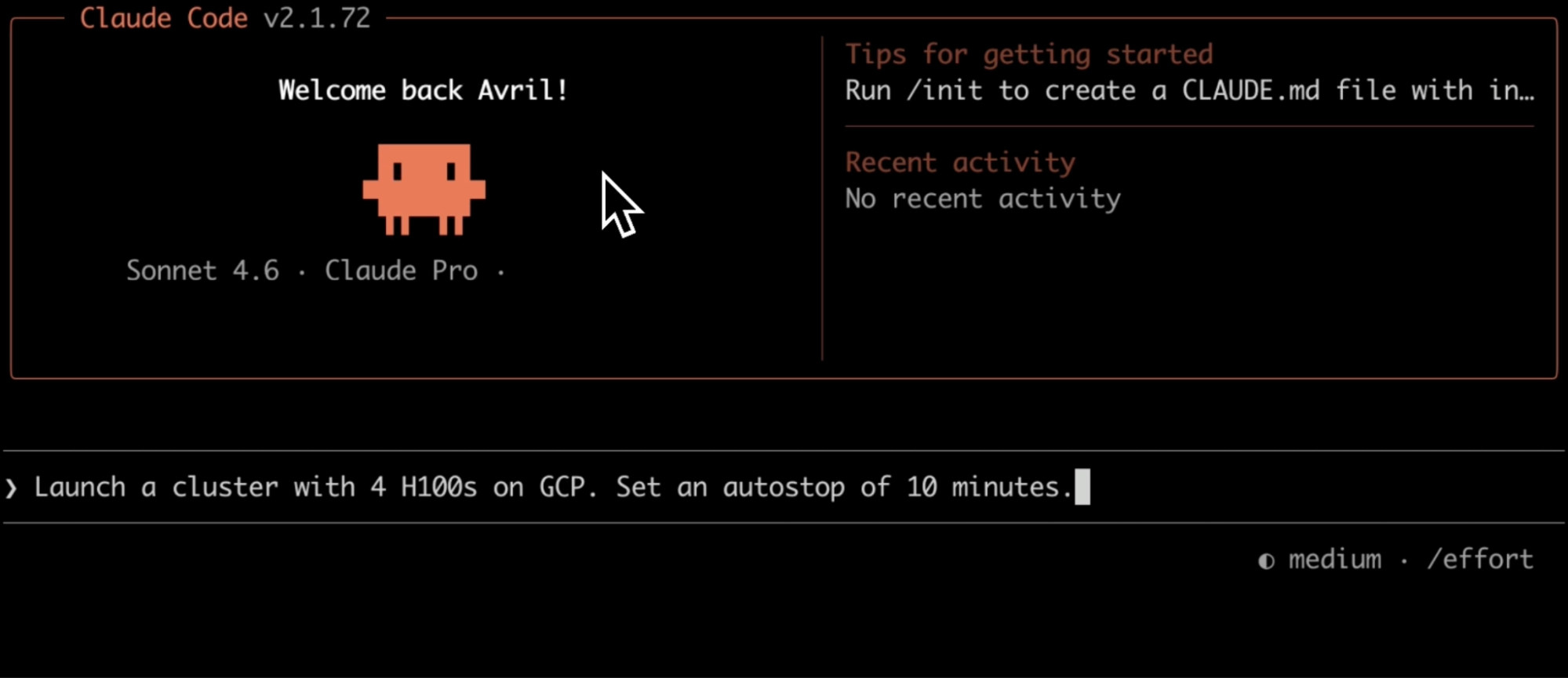 Launch a GPU cluster